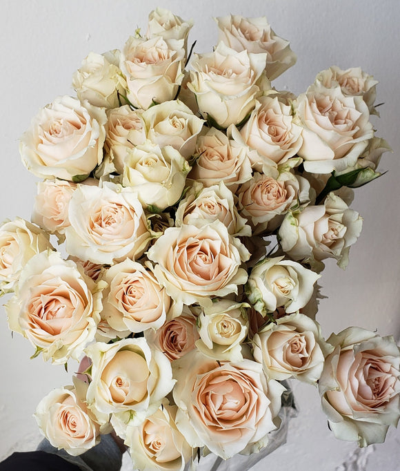 Spray Rose White Majolica