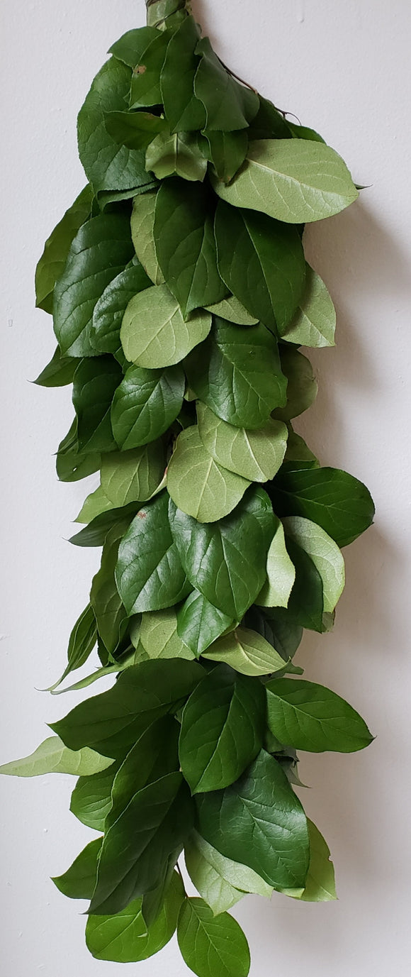 Salal Garland