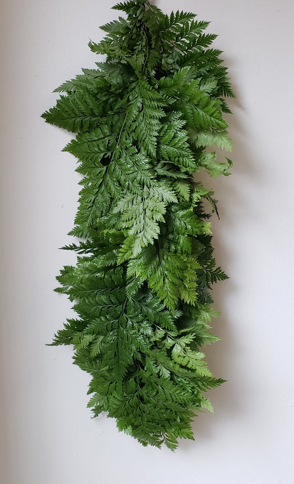 Fancy Fern Garland ($8.20 per foot)