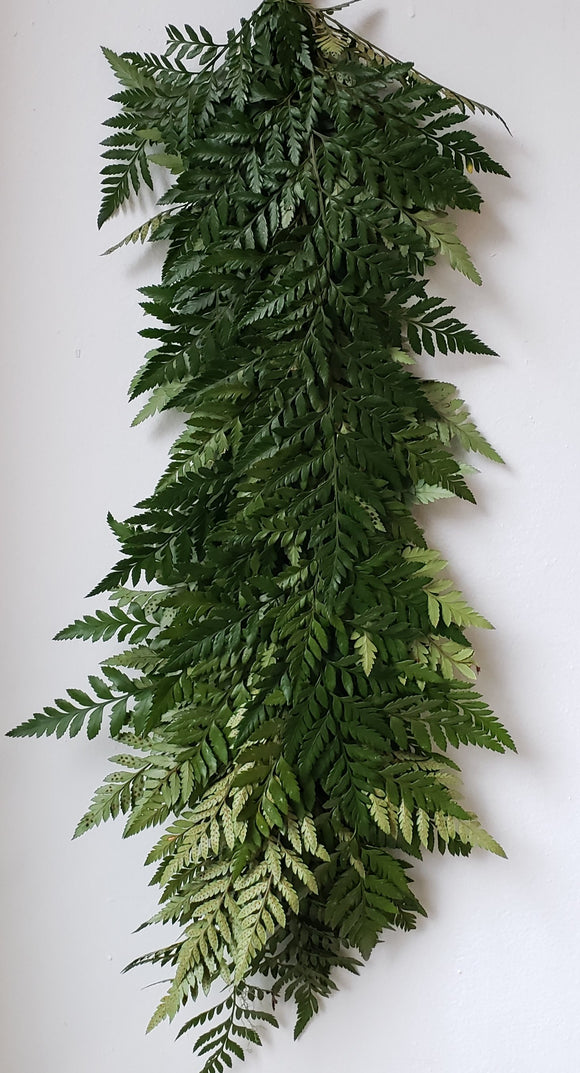 Leatherleaf Garland