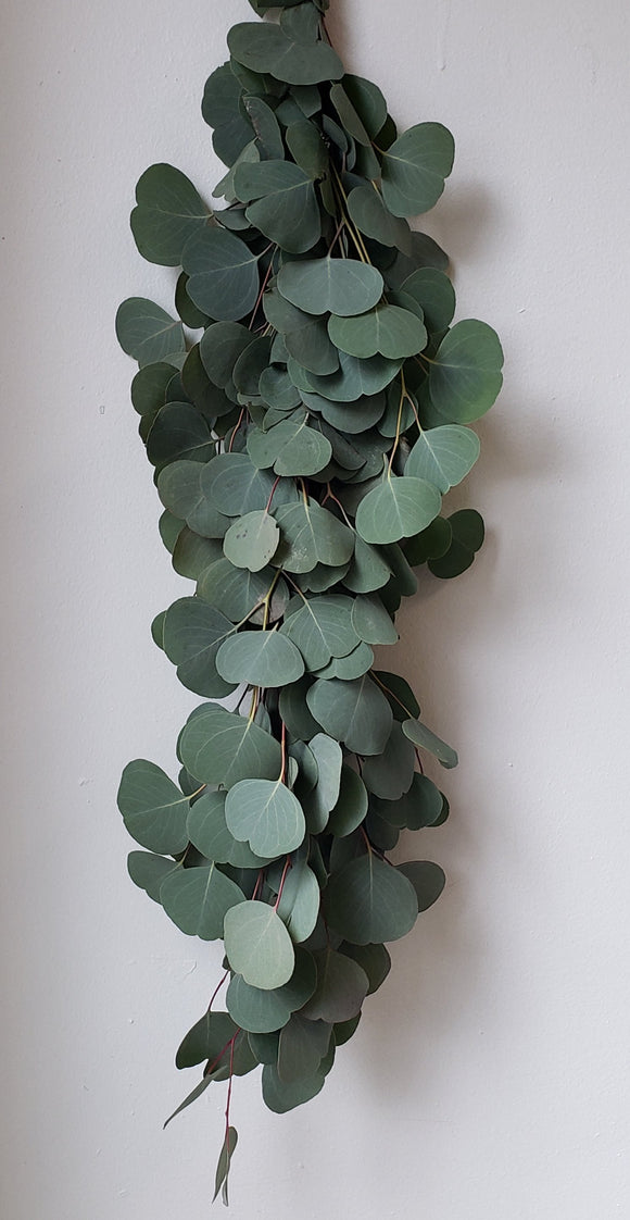 Silver Dollar Eucalyptus Garland