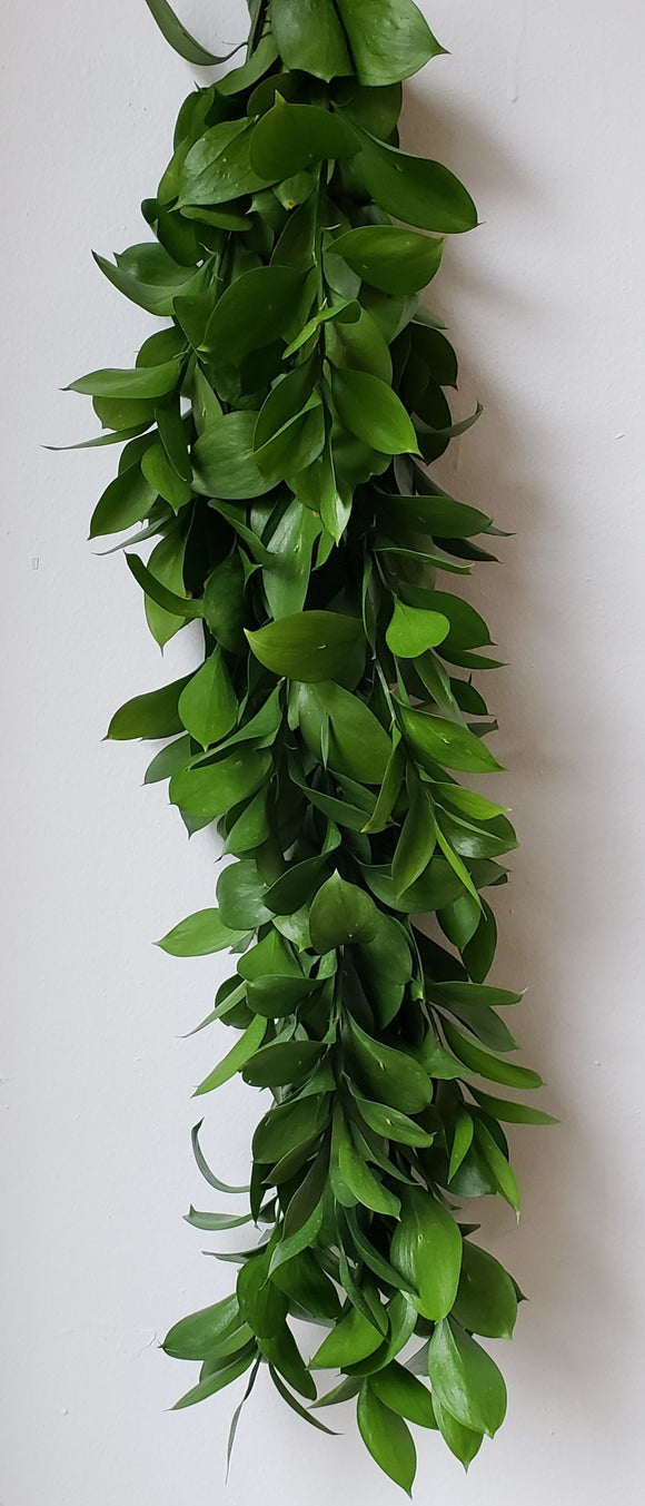 Israeli Ruscus Garland