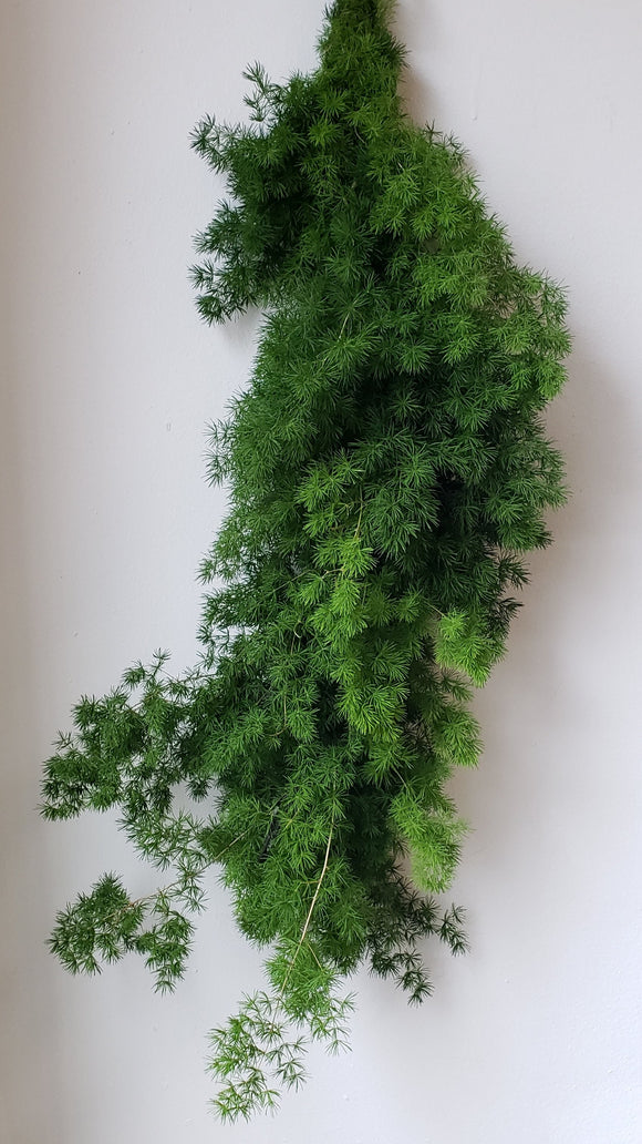 Ming Fern Garland