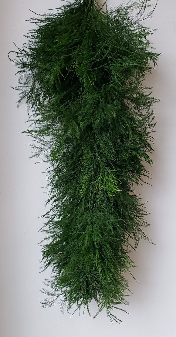Tree Fern Garland