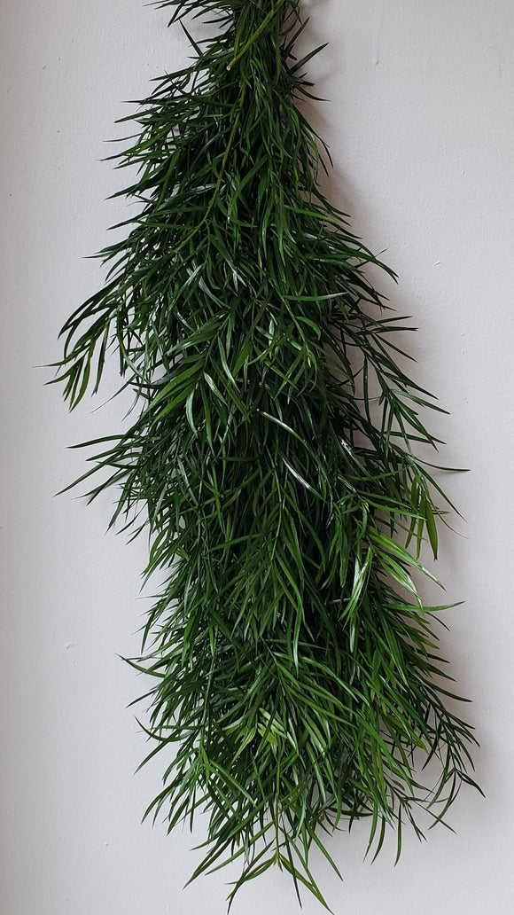 Weeping Podocarpus Garland