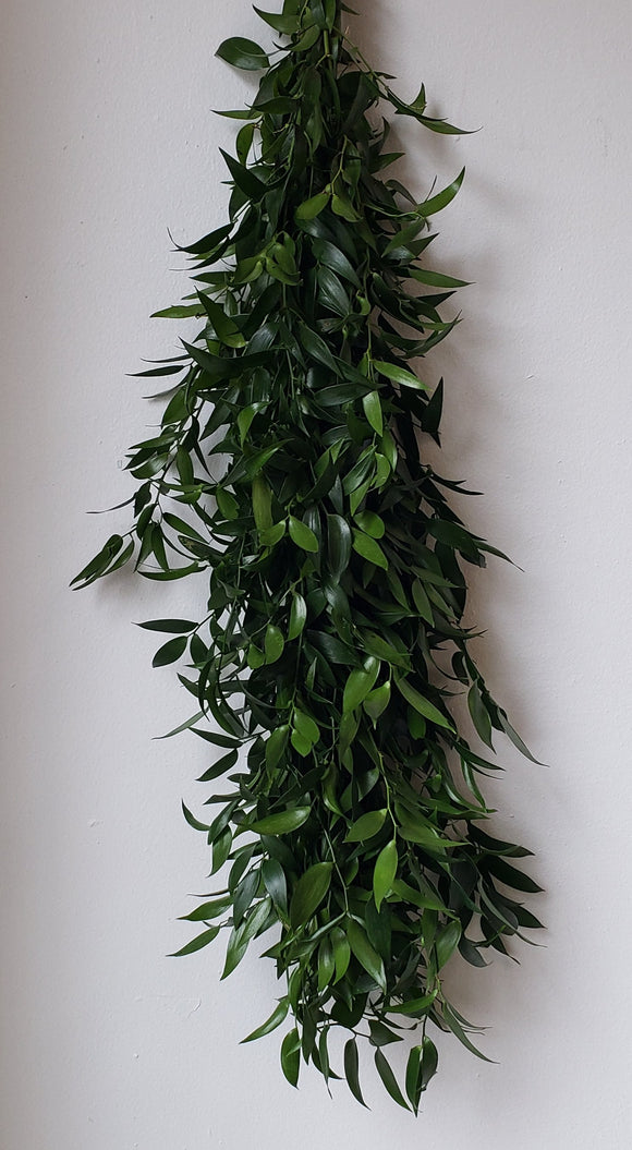 Italian Ruscus Garland