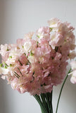 Sweetpeas Light Pink