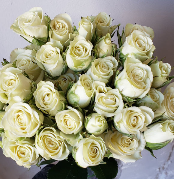 Spray Rose Snowflake