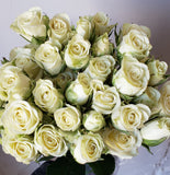 Spray Rose Snowflake