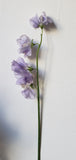Sweetpeas Lavender