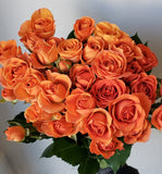 Spray Rose Orange Babe