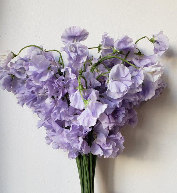 Sweetpeas Lavender