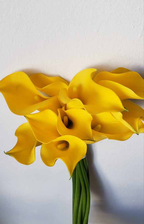 Calla Mini Yellow