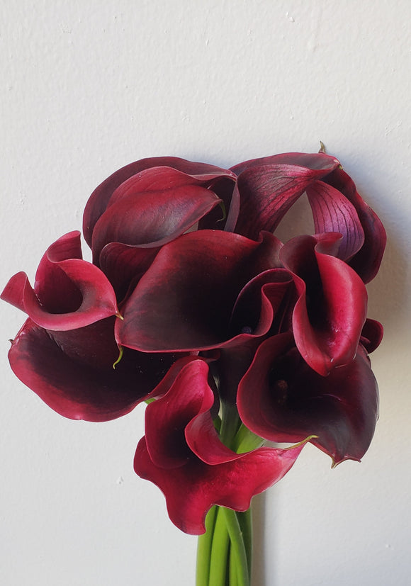 Calla Mini Burgundy