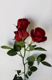 Spray Rose Red