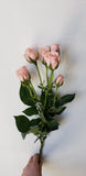 Spray Rose Pink Majolica