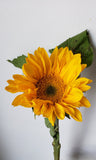 Green Center Sunflowers