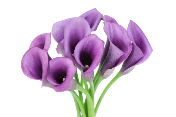Calla Mini Purple